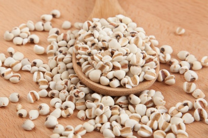 Khánh Hoà thu hồi dược liệu Ý dĩ không đạt tiêu chuẩn chất lượng